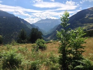 Al fondo, el macizo del Posets (3375m), el segundo pico, después del Aneto,  más alto de los Pirineos.