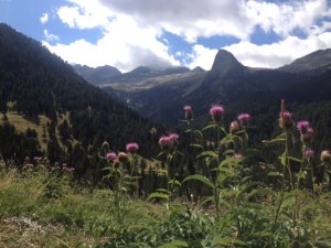 Poor el Valle de Añes Cruzes