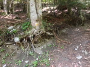 Primera marca, tras más de dos horas de recorrido, de señalización del camino.