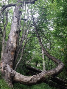 Cercavcel mirador devlas Gorges Galanas