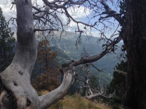 Afrontando la bajada final.