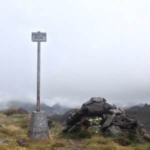 Por de Rat. Visibilidad cero.