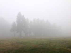 Imagen fantasmagórica 2.