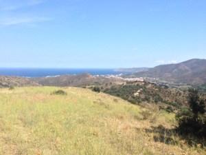 Por fin, al fondo, Llamça.