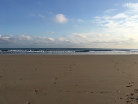 1692A33B-BF30-4E80-BF6F-3EFCE9D92D99