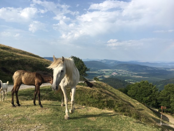 3E5B1F50-94D3-4D30-BC39-69B54C8306DB