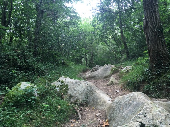 5EFE9801-C5E0-48D3-9013-87B7546AD31E