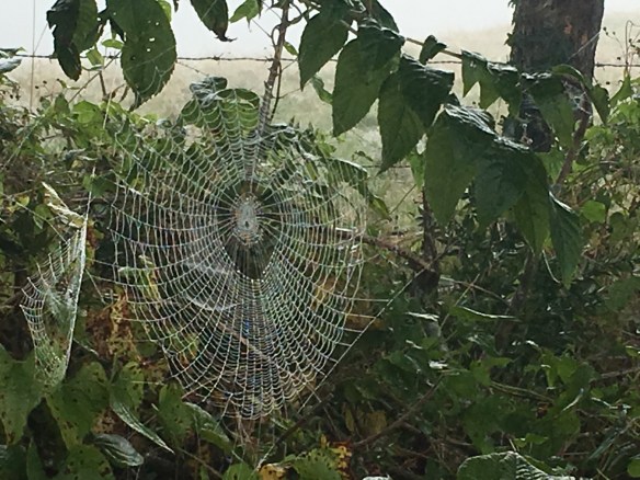 B5288486-F1CC-46F6-8128-A7D97A109EC0