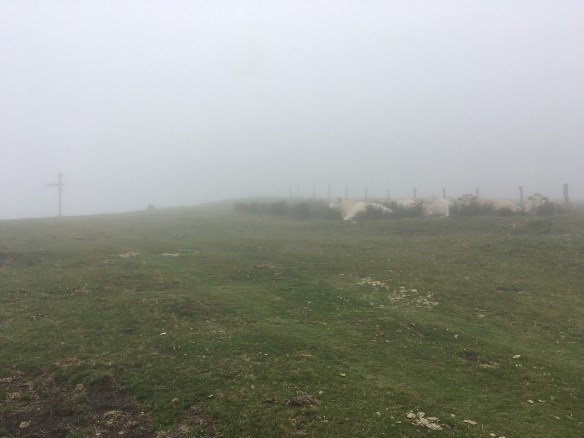 BADBAB35-3E7B-4536-9D66-57C6CEB72084