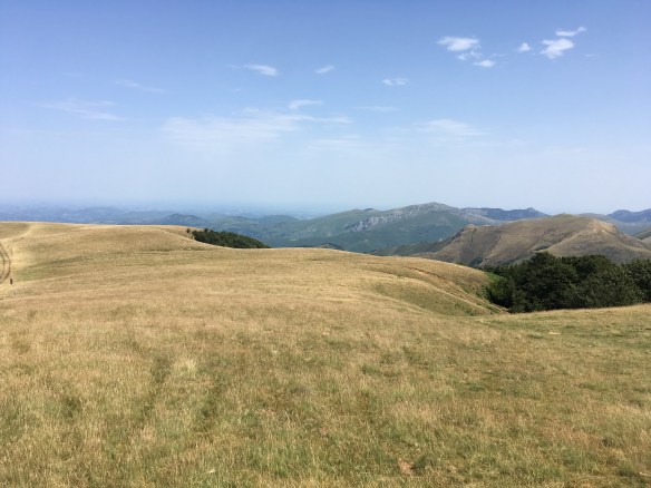 C43D48C0-2166-47A2-8B3D-A8096ABDF1E1