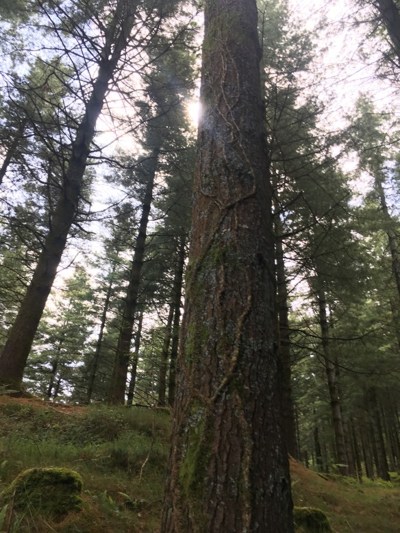 F5753FEF-6D13-4ECD-B8F0-628E4B6AA996