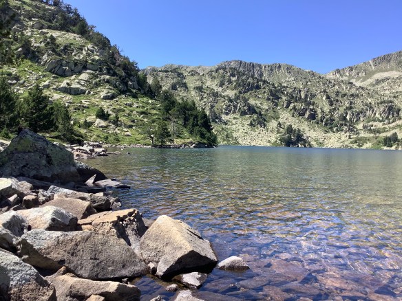 103C1A0E-9B48-4CE7-9CDC-EF8260D78A4E