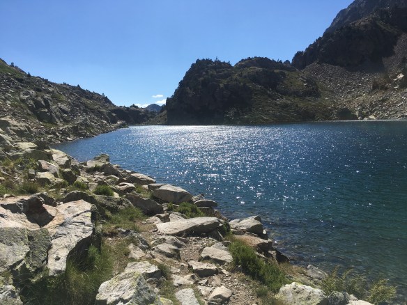 217FED0D-1123-4CAA-84C4-DA8BFC2BBA54