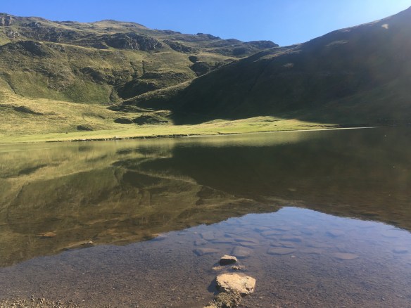 7B50E485-13E3-44F0-9B26-A254D95173C8