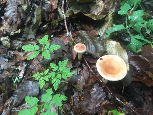 938D55DC-91FA-49D2-ADAA-4282AC53F1AE