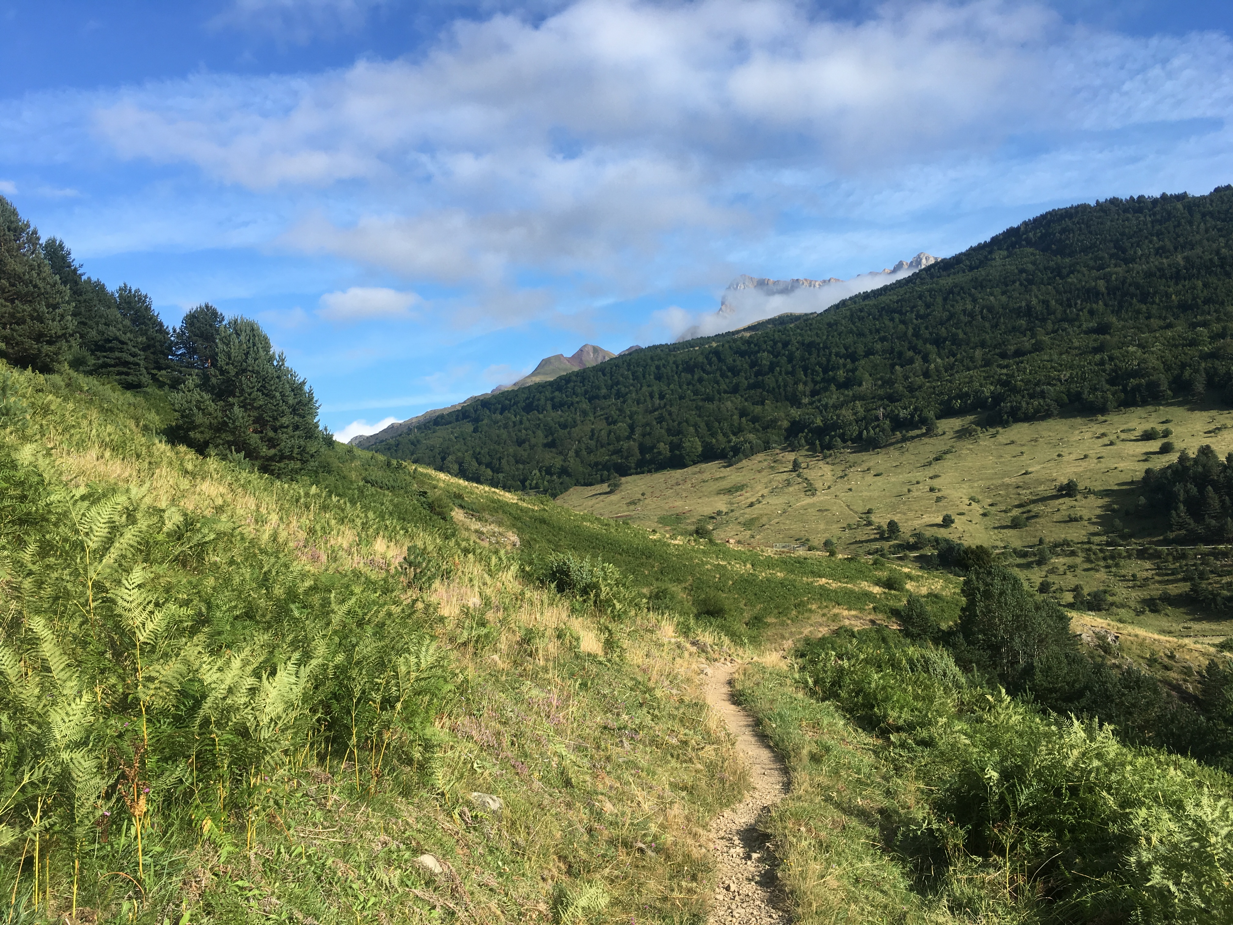 950AF17D-6CC7-4065-9DD0-D24266B45315