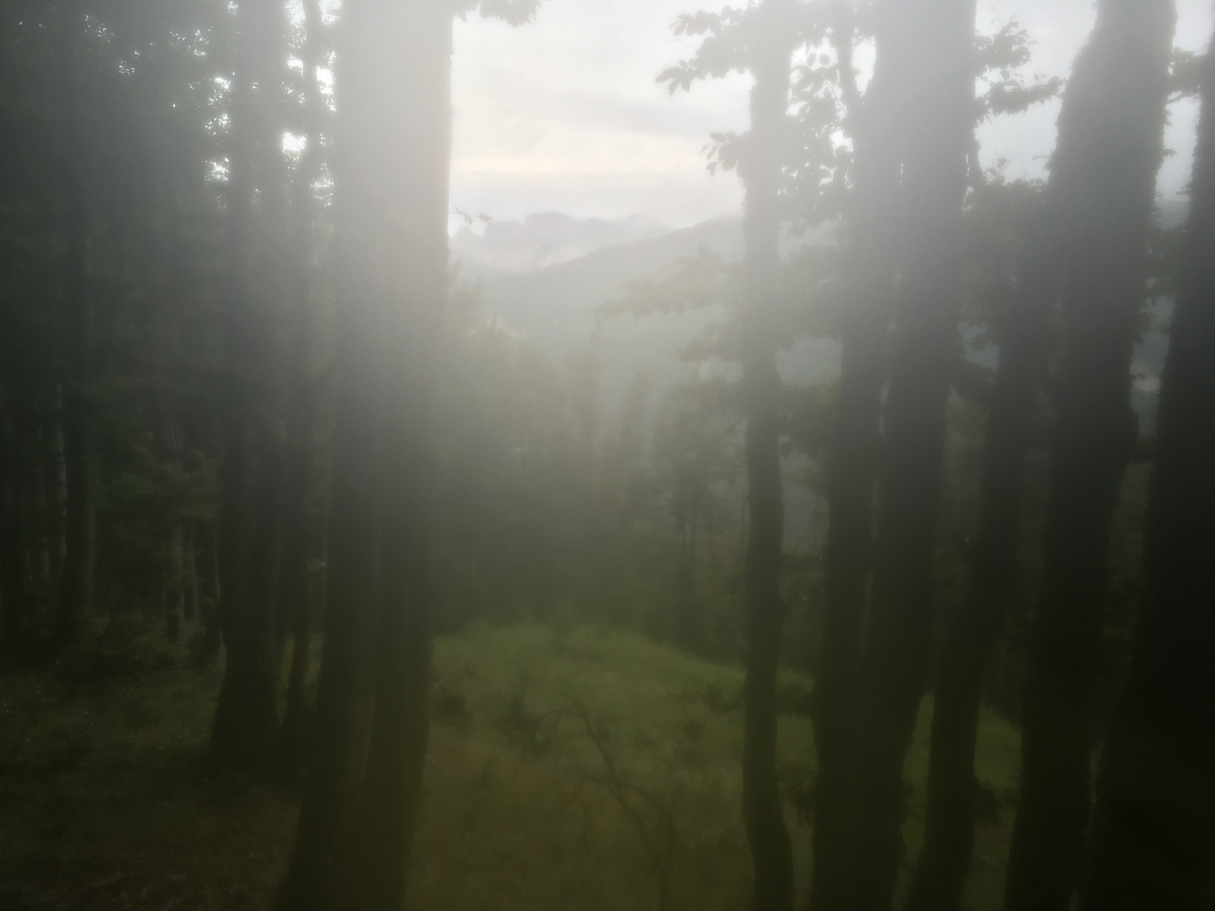 A10E4AE0-B8E2-42E1-9EE3-8CDD8985CB67