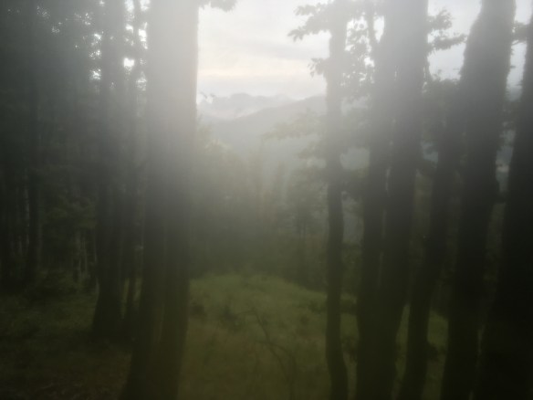 A10E4AE0-B8E2-42E1-9EE3-8CDD8985CB67