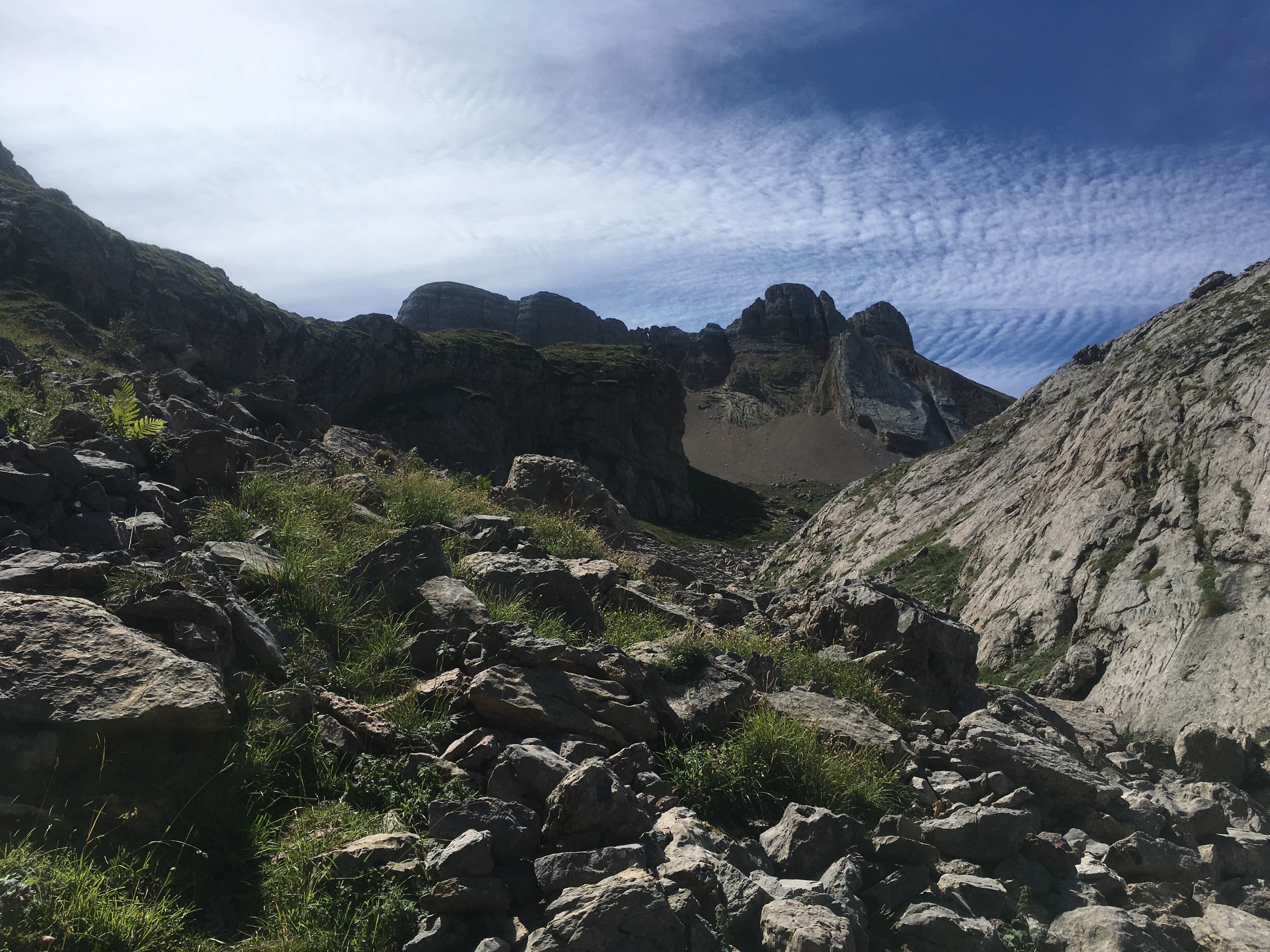 AE7218F8-C236-4159-9FD8-A4E56EB73D9A