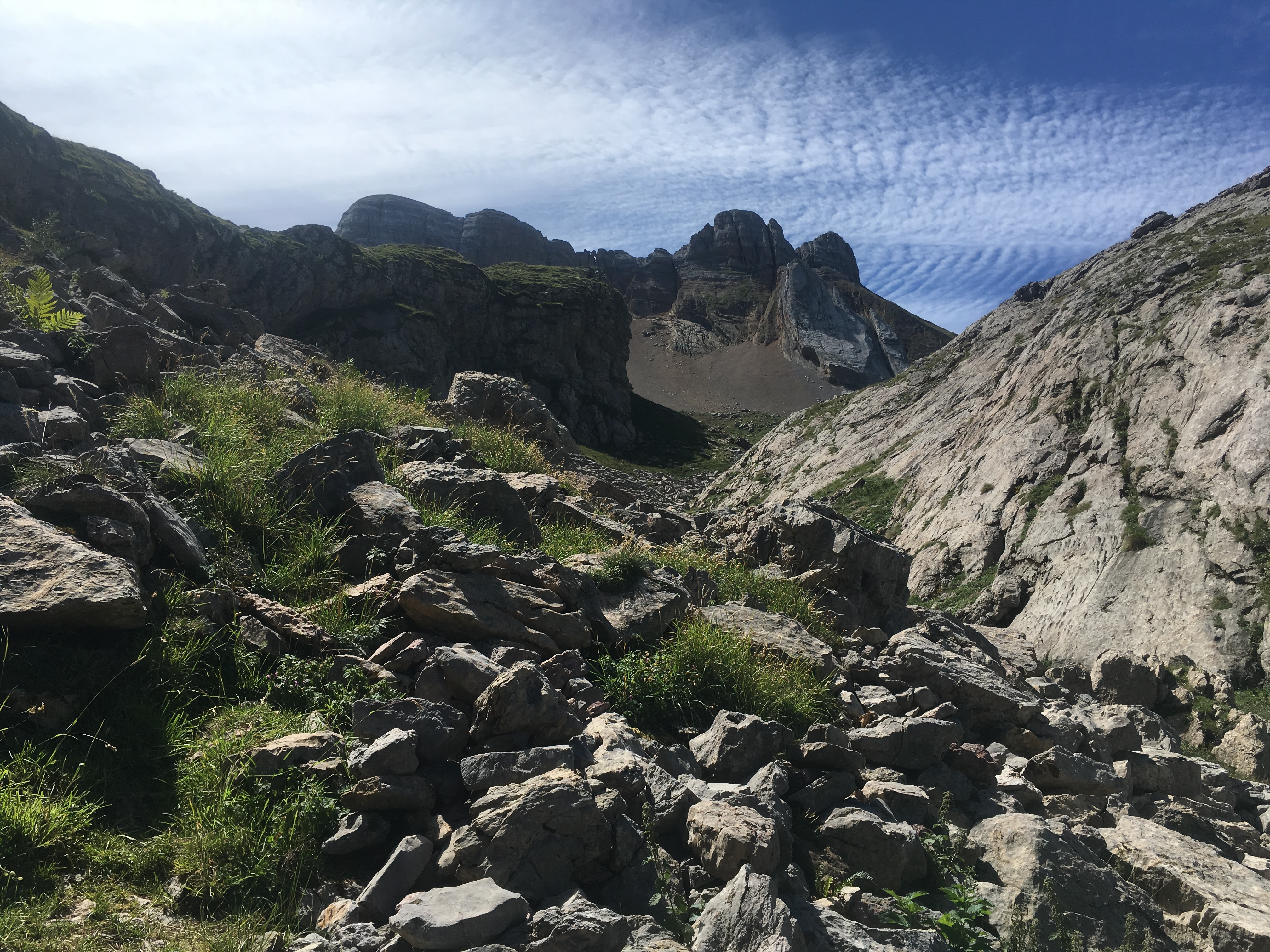 B7FFDDEA-A035-47E9-8B3D-686AE1600882