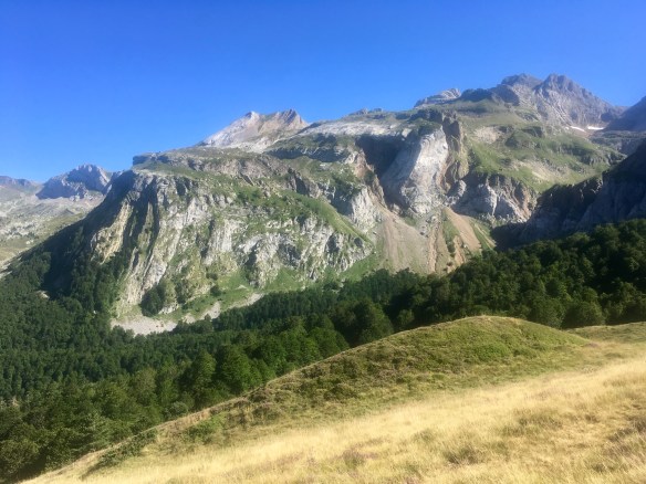 C1D6C819-C525-47B8-9ECA-8B18387F624F