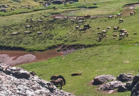 CBE66B86-AEC9-4359-A790-B5F6BB80C08A