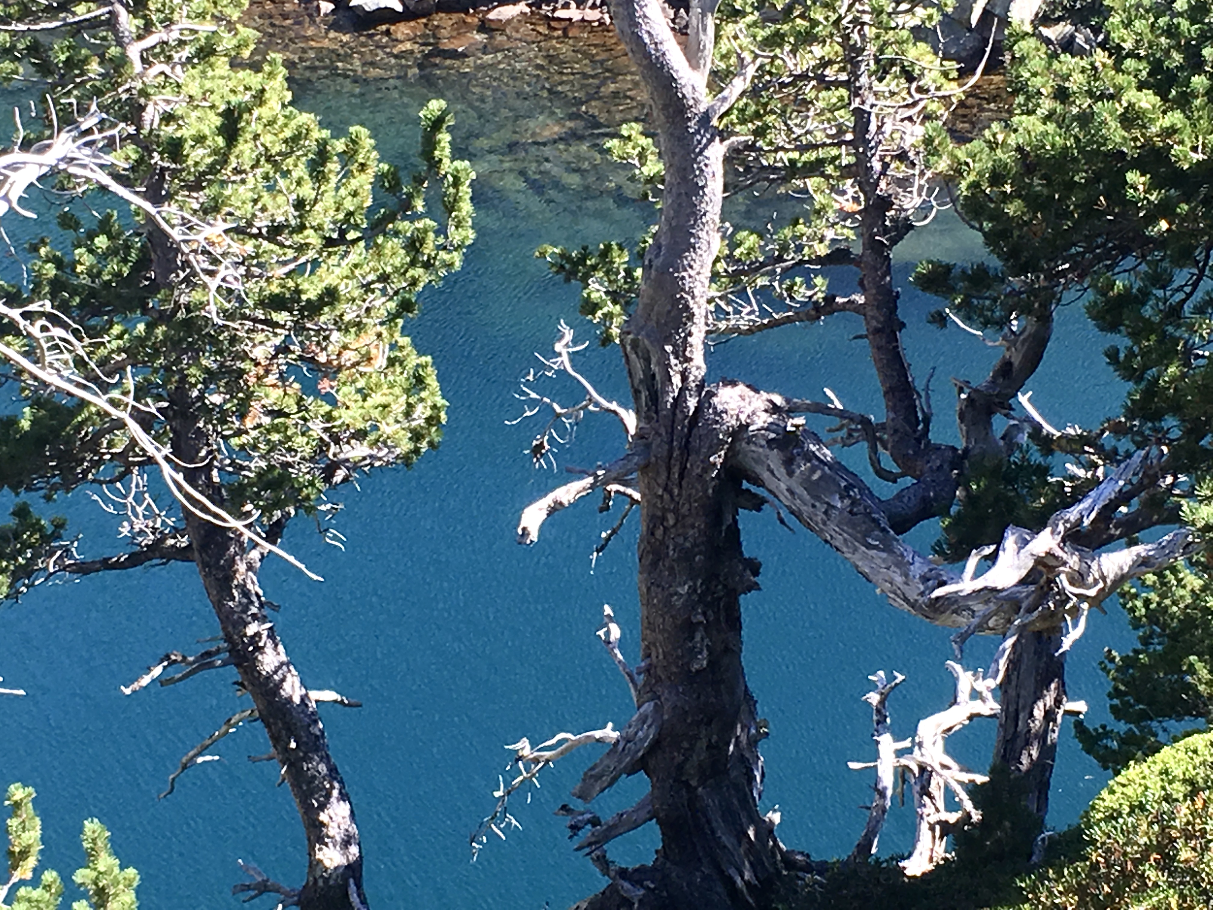 FA7B249E-4E1A-40AB-A05E-CD316E65119F