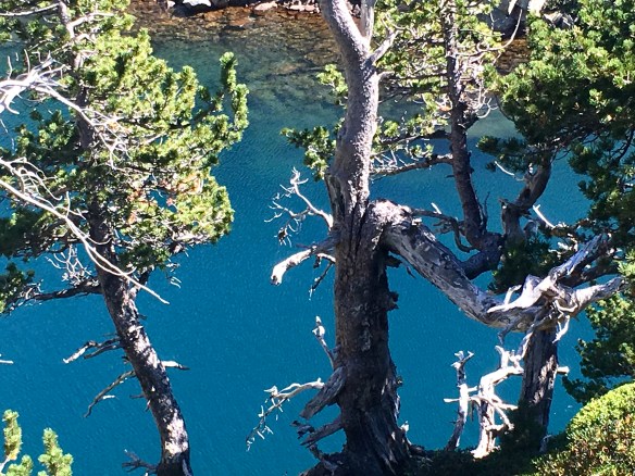 FA7B249E-4E1A-40AB-A05E-CD316E65119F